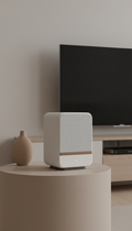 Wireless Surround Sound Speaker Set