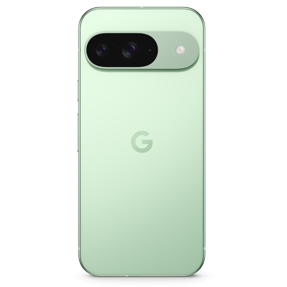 GOOGLE PIXEL 9 256GB WINTERGREEN + CHARGER 45W