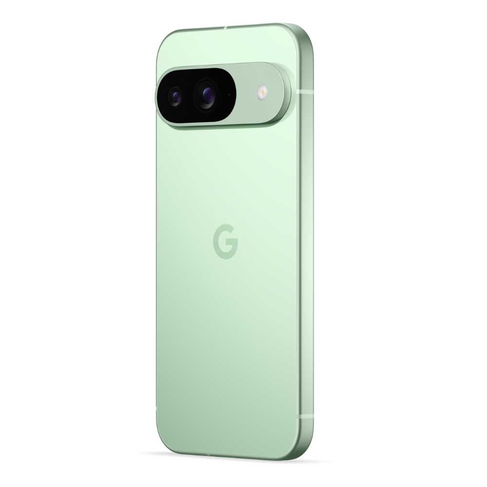 GOOGLE PIXEL 9 256GB WINTERGREEN + CHARGER 45W