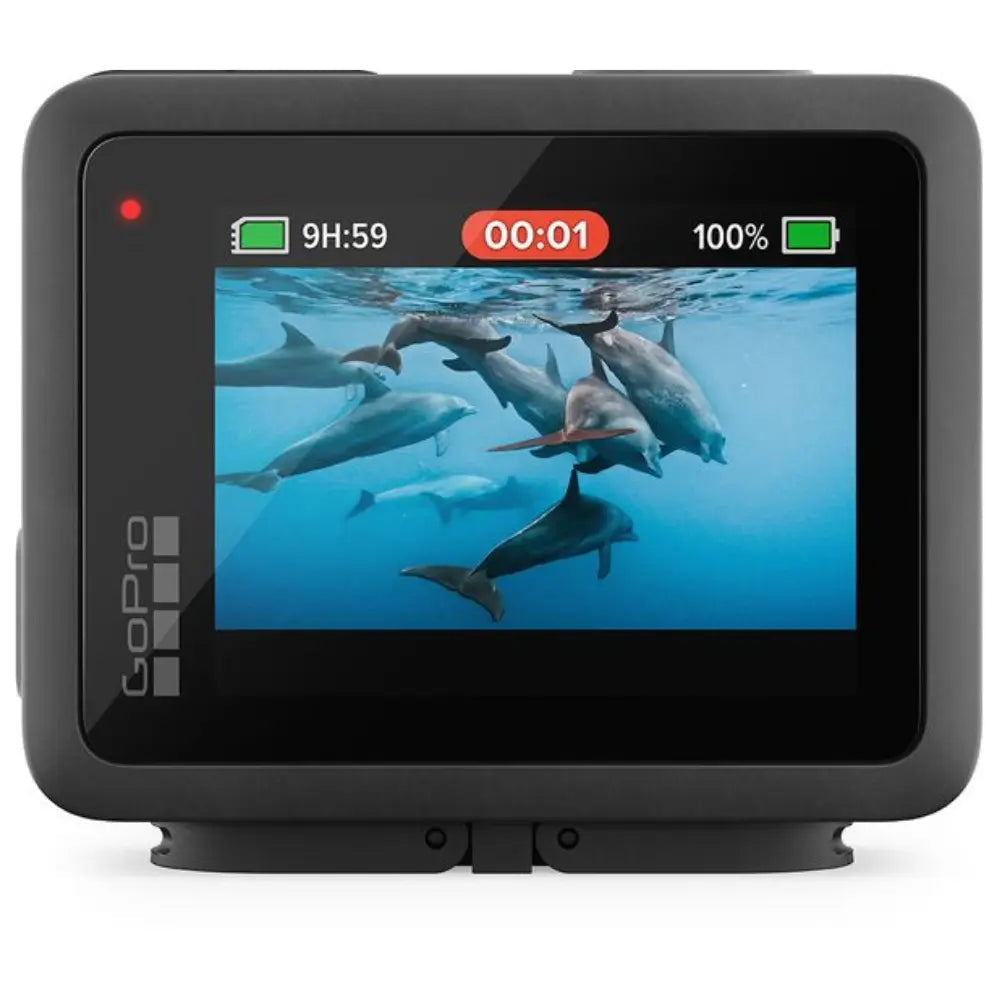 GoPro HERO 4K action camera with LCD displaying dolphins, record indicator on screen
