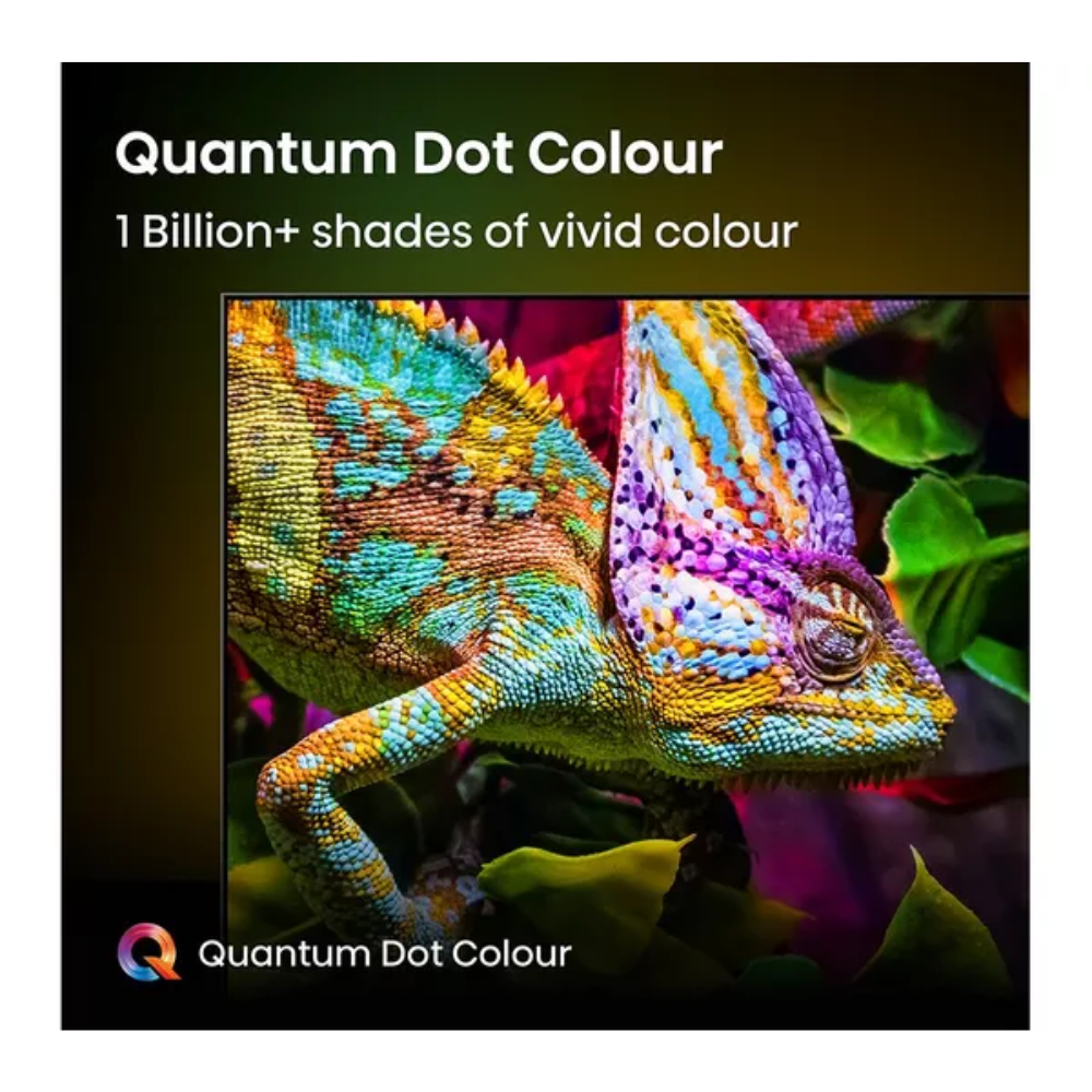 TV screen showing Quantum Dot Colour with vivid chameleon close-up