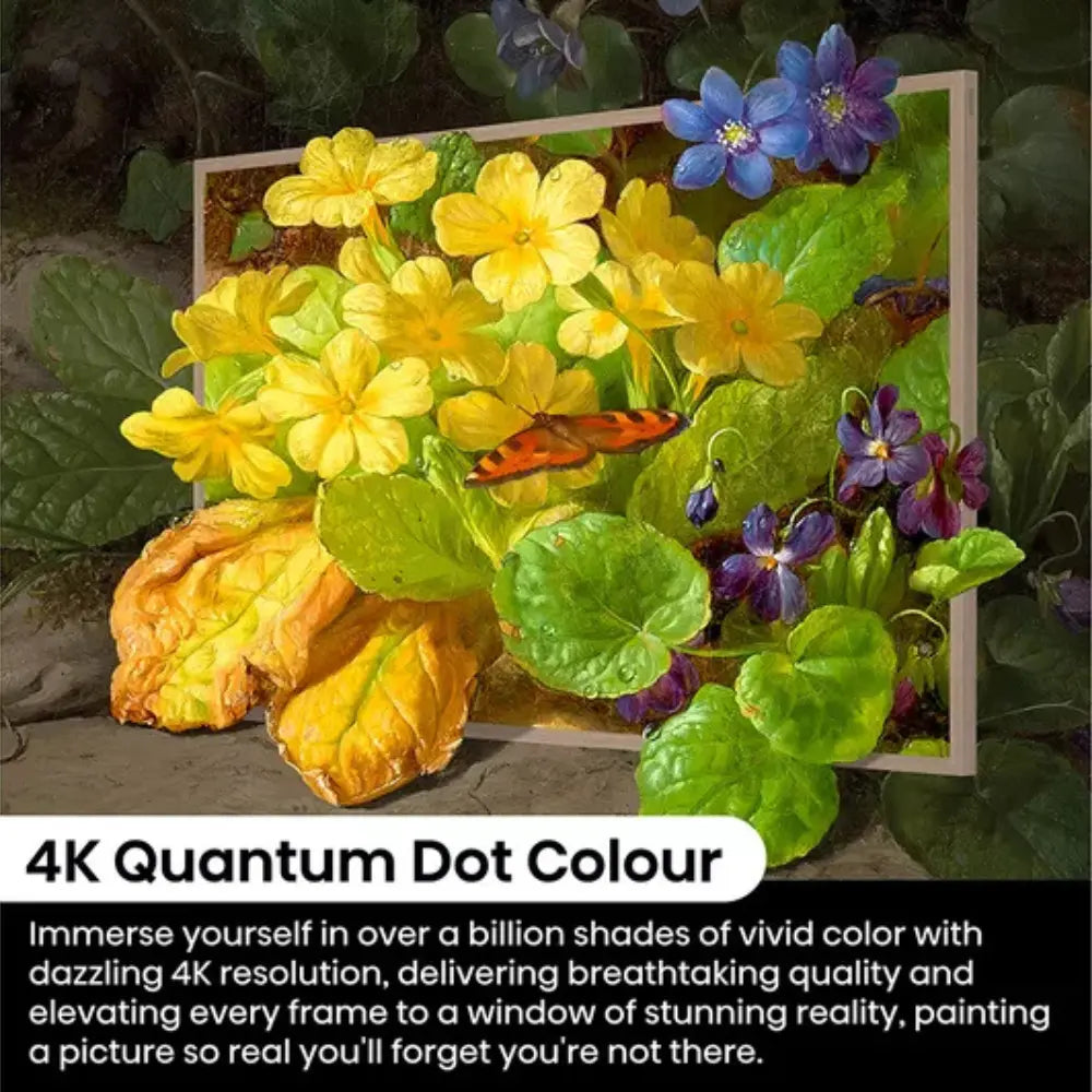 HISENSE Canvas S7NQ 55" QLED 4K Smart TV with Freely & Art Mode