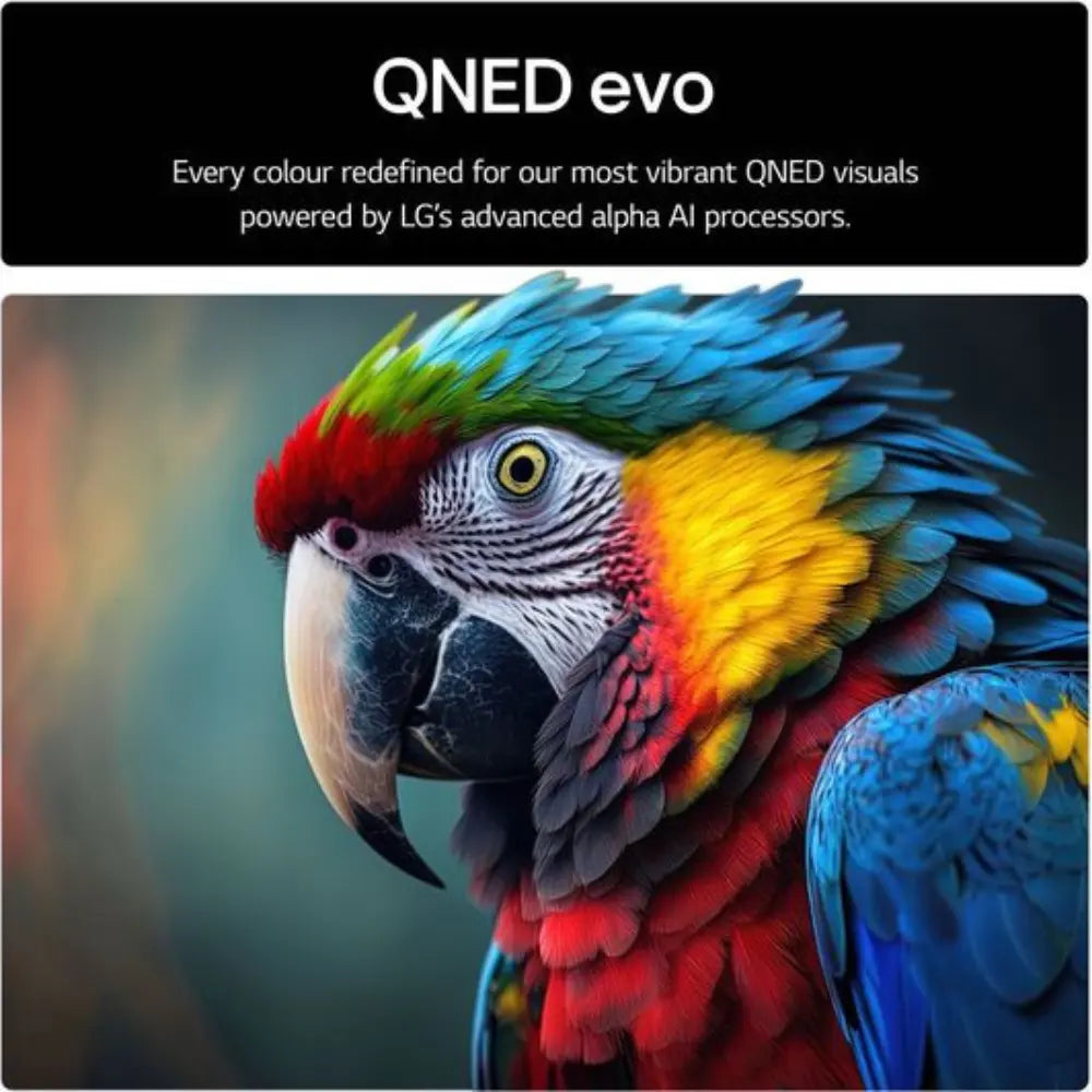 Smart TV screen with QNED evo title and vivid parrot image