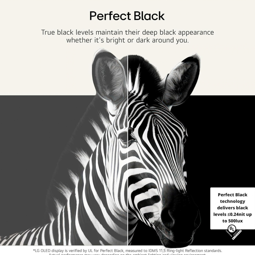 OLED TV display with black-and-white zebra portrait on dark screen