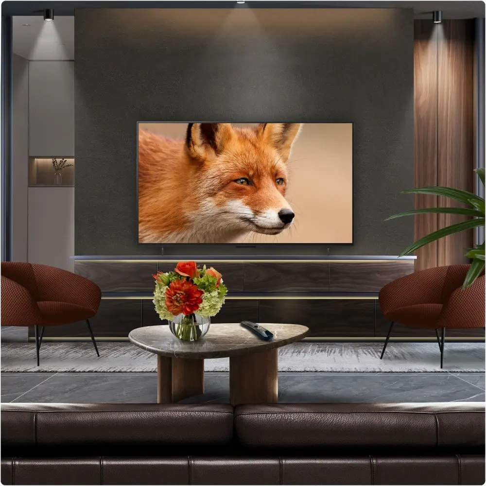 42-inch LG OLED evo 4K Smart TV with thin bezel, showing a pet photo on screen.