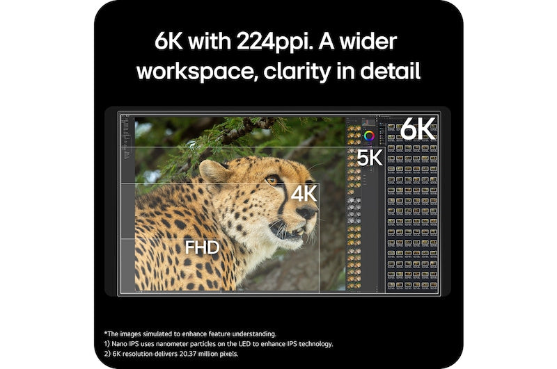 Monitor resolution infographic highlighting 6K clarity and detailed image samples
