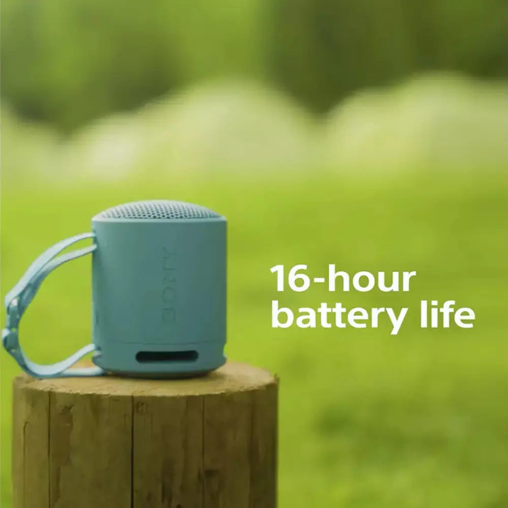 Sony SRS-XB100 portable Bluetooth speaker, light blue, on a wooden stump
