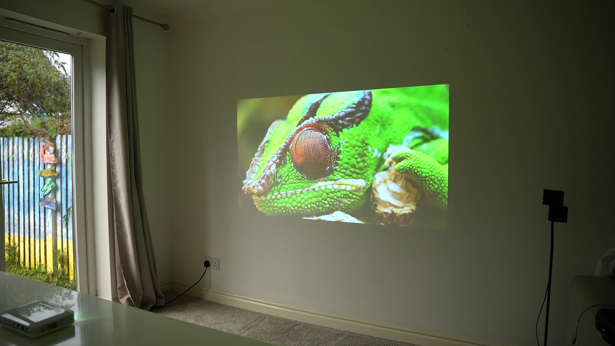 Ultra-portable smart projector projecting a green lizard close-up on a wall screen