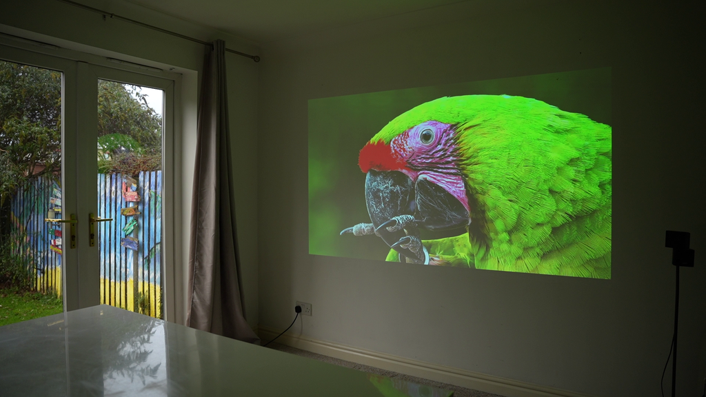 Ultra-portable smart projector projecting a colorful parrot video on a wall screen