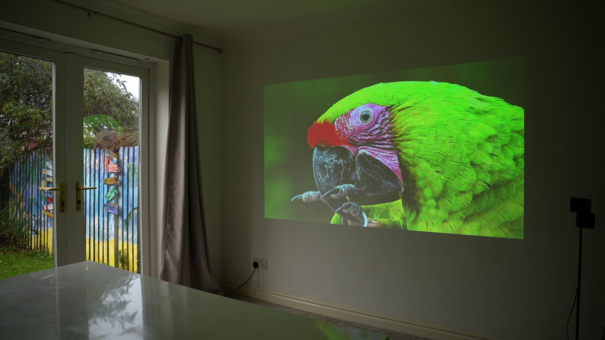 Ultra-portable smart projector projecting a colorful parrot video on a wall screen